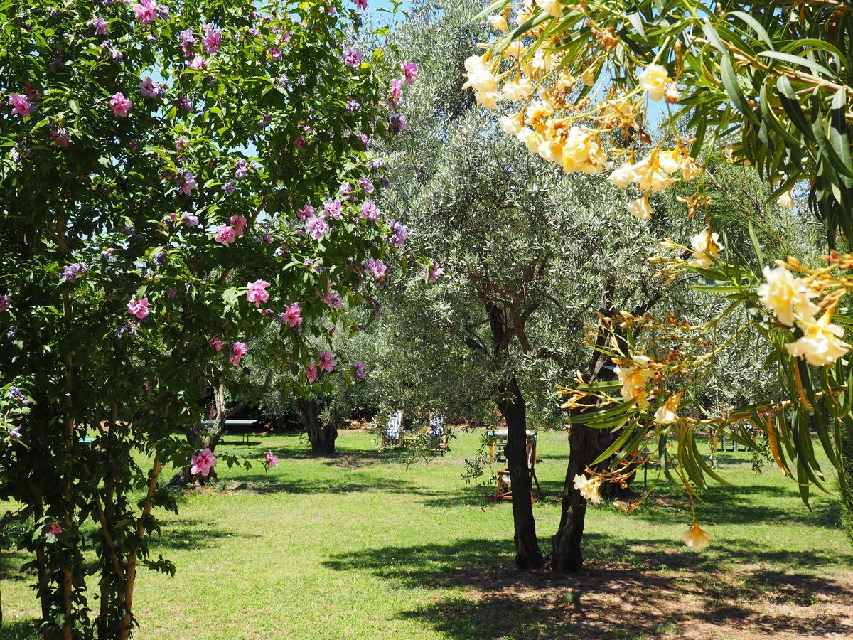 Emel Pension Guzelcamlı Exterior foto