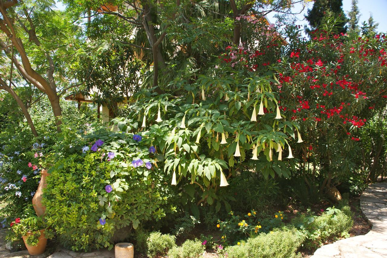 Emel Pension Guzelcamlı Exterior foto