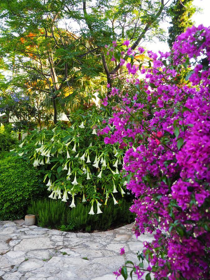 Emel Pension Guzelcamlı Exterior foto
