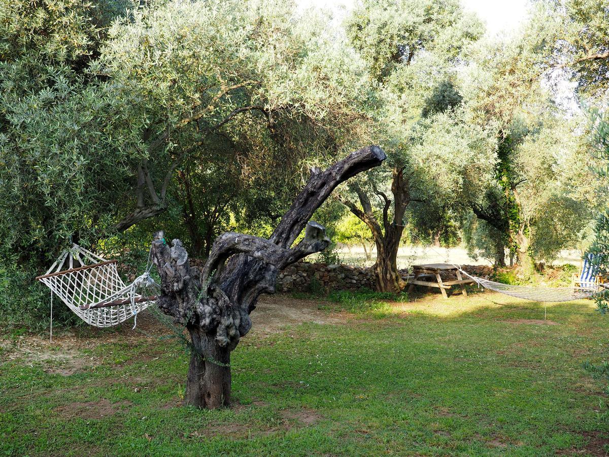 Emel Pension Guzelcamlı Exterior foto